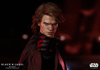 Anakin Skywalker (Black Label 002)