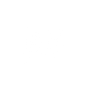 Partner logo 4