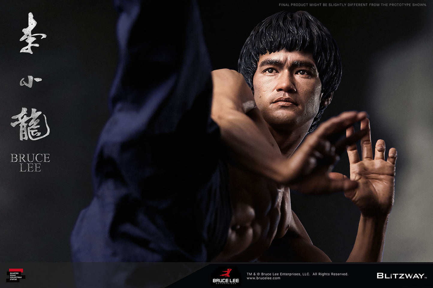 Bruce Lee (ver.3)