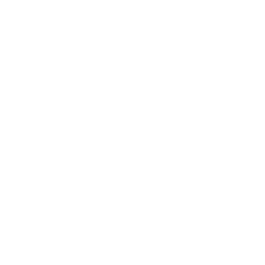 Partner logo 12